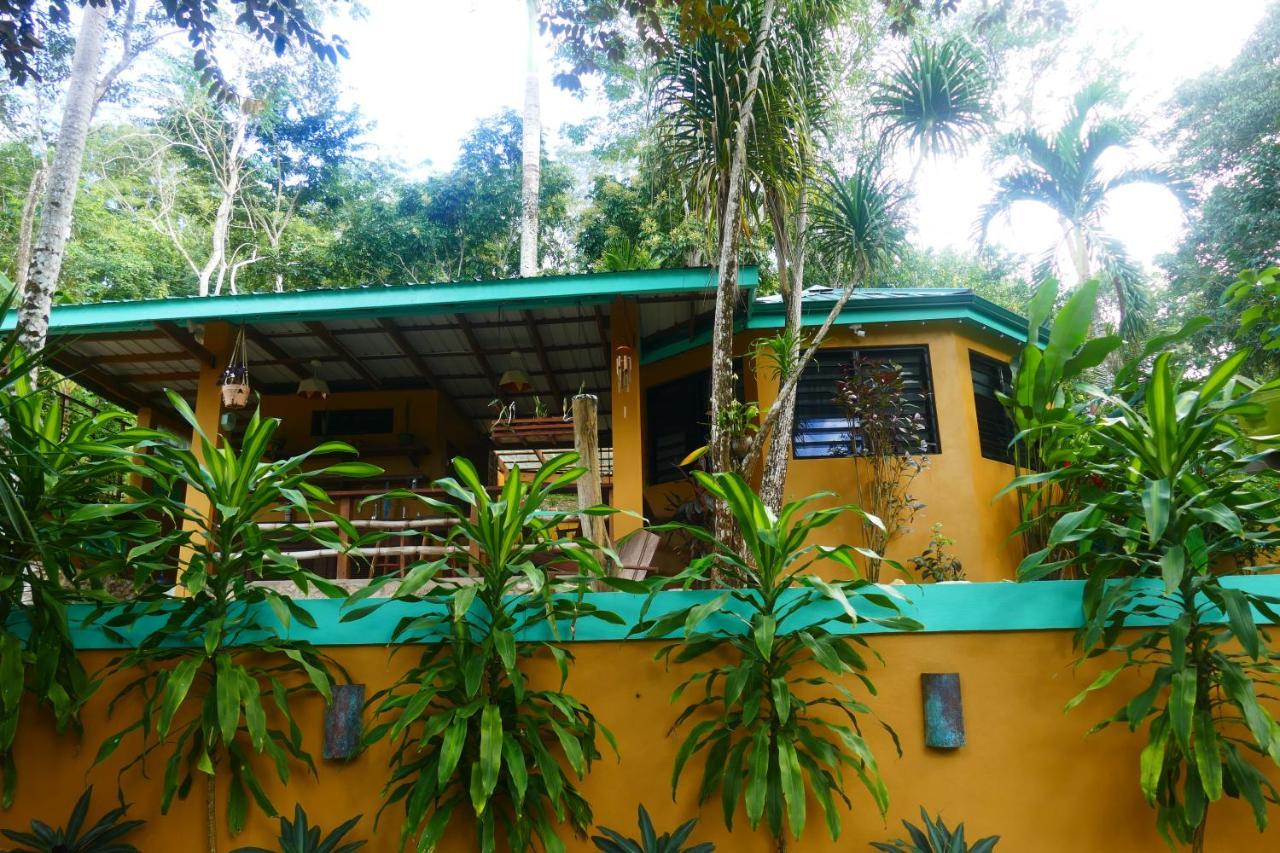 Riverhill Hideaway Monkey Fall Экстерьер фото