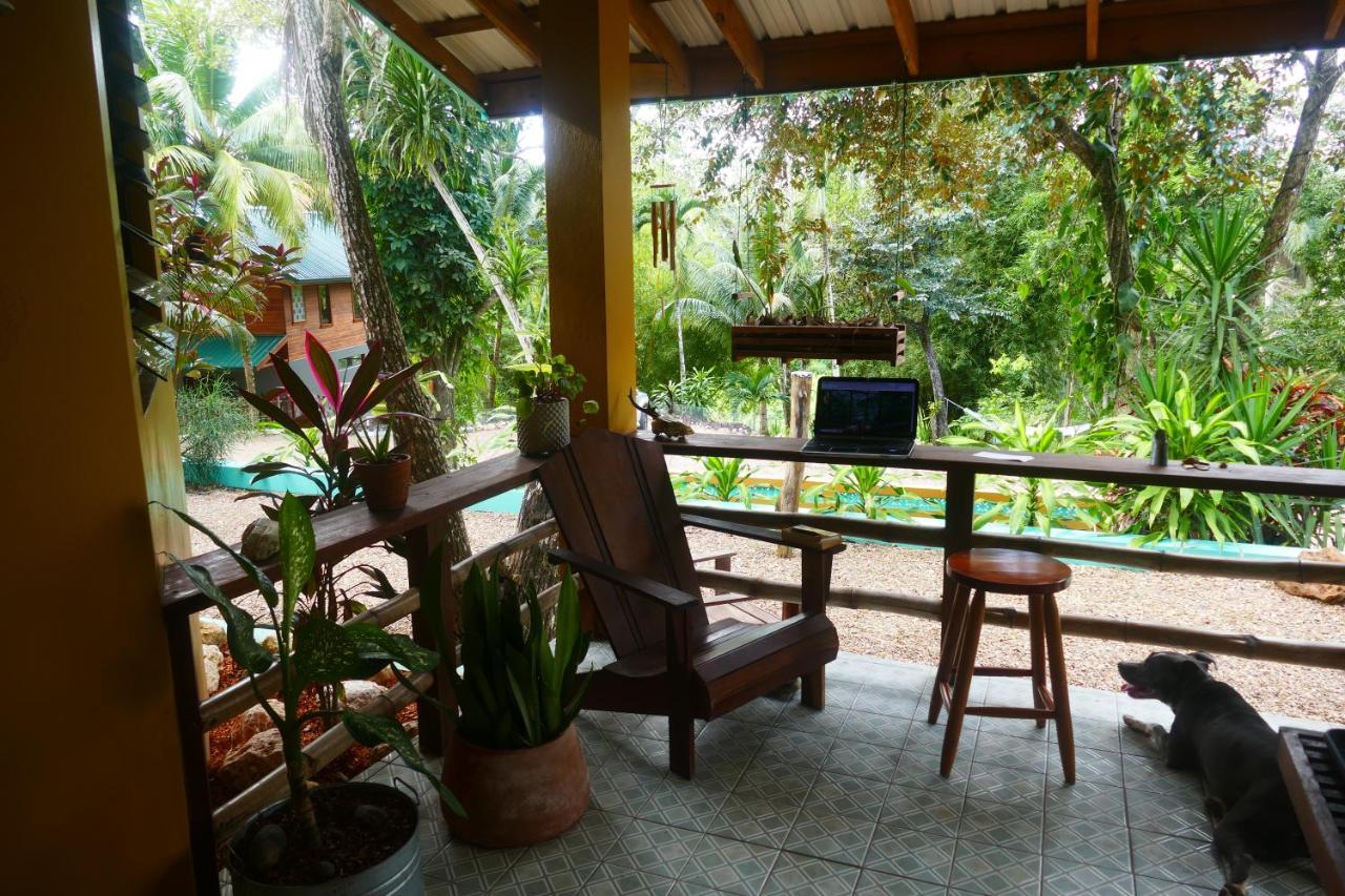 Riverhill Hideaway Monkey Fall Экстерьер фото