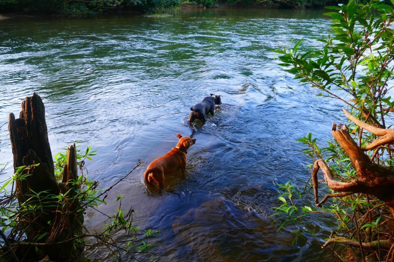 Riverhill Hideaway Monkey Fall Экстерьер фото